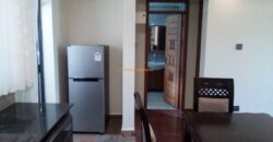 1 Bedroom Furnished Apartment