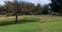 Prime 5 Acre Land in Karen for Sale