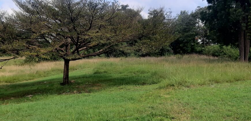 Prime 5 Acre Land in Karen for Sale