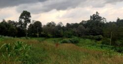 Prime 14-Acre Land for Sale