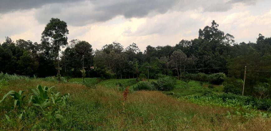 Prime 14-Acre Land for Sale