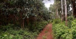 Prime 14-Acre Land for Sale