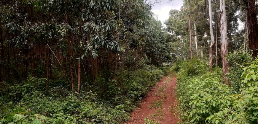 Prime 14-Acre Land for Sale