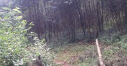 Prime 14-Acre Land for Sale