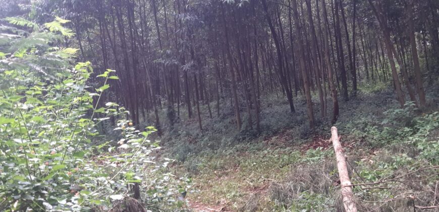Prime 14-Acre Land for Sale