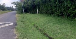 Prime 14-Acre Land for Sale