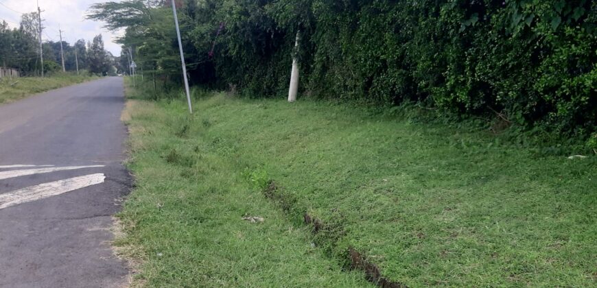Prime 14-Acre Land for Sale